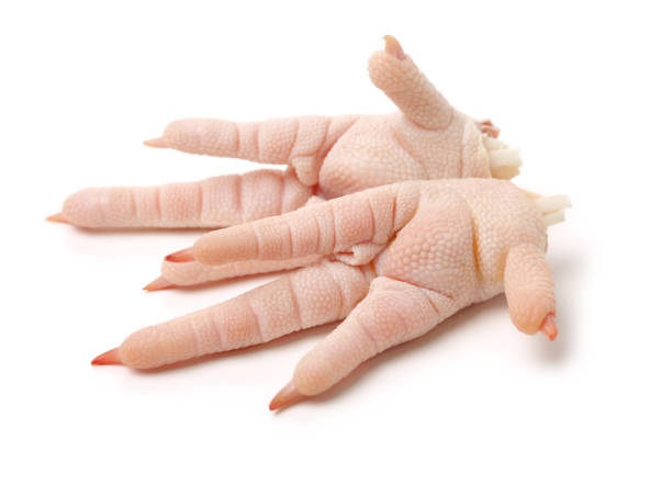 Brazil poultry export companies