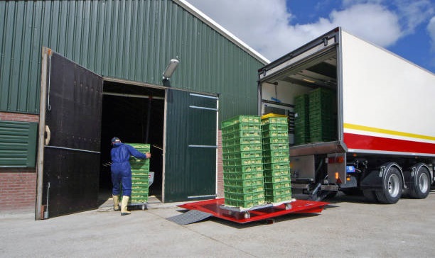 frozen chicken exporters in brazil