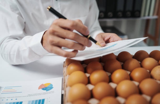 frozen chicken exporters in brazil